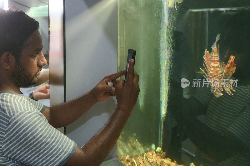 一名印度男子用手机相机在玻璃中拍摄海洋水族馆中的热带狮子鱼，有毒的狮子鱼在热带海洋水族馆鱼缸中游动，棕色和白色的蝴蝶鳕鱼/斑马鱼/萤火虫
